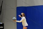 Women’s VB intersquad  Women’s Volleyball inter-squad match. : Women’s Volleyball, VB, inter squad, intersquad